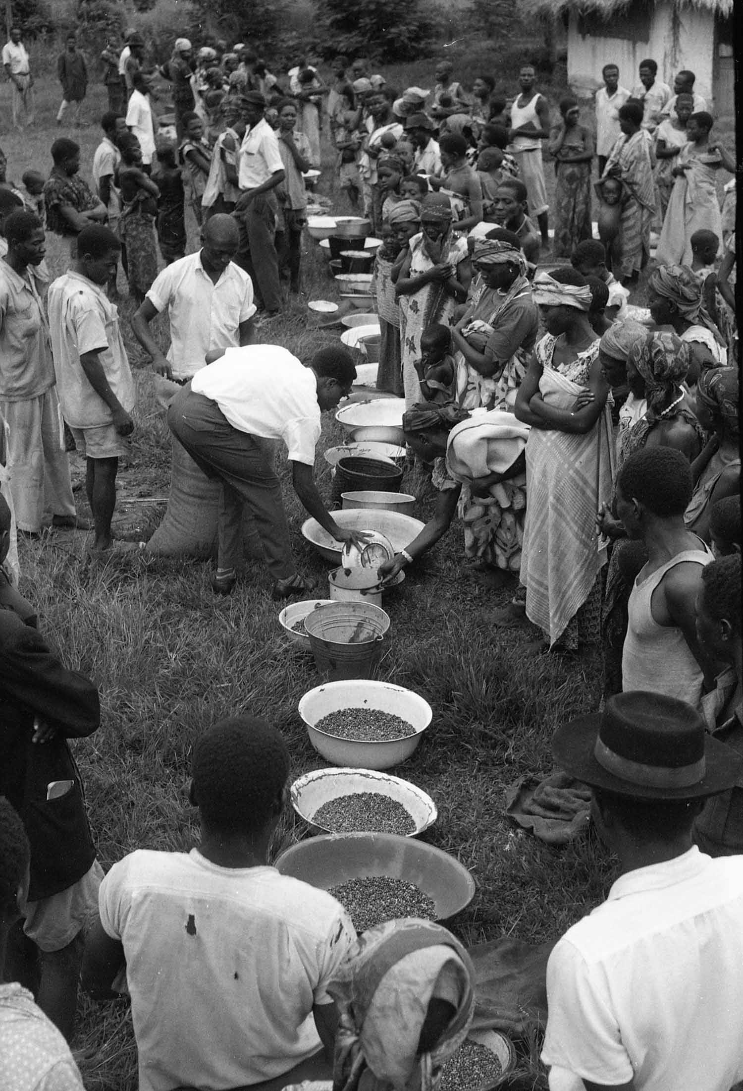 Congolese men and women line up on either side of a trail of basins half-filled with beans