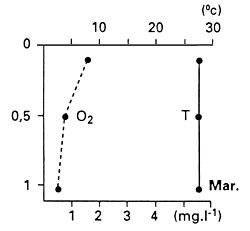 Fig. 28