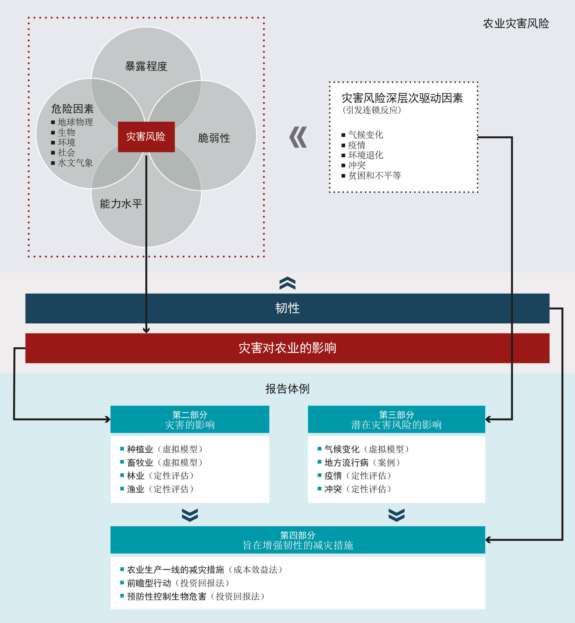 资料来源：作者本人解读。