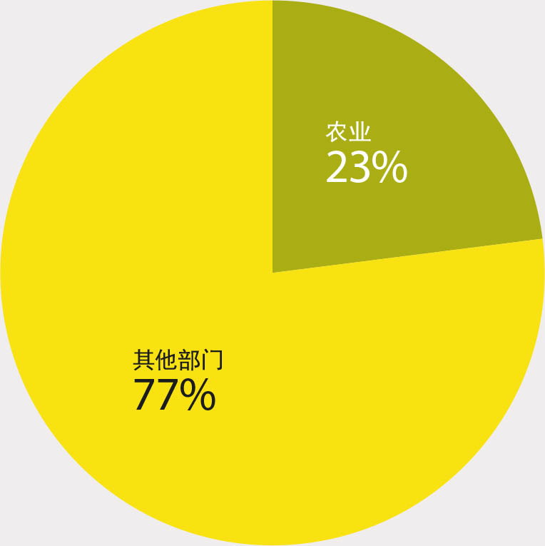 注：参见技术附件1. 资料来源：作者本人对灾后需求评估调查数据的解读。
