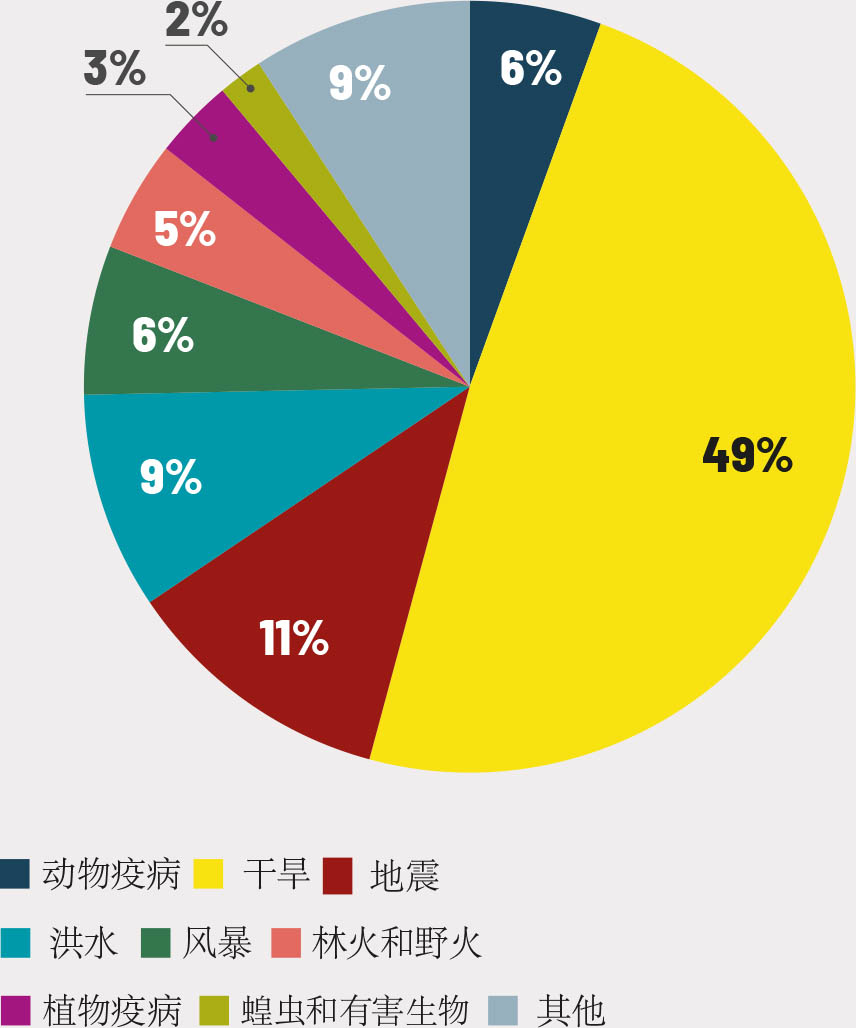 资料来源：作者本人对仙台框架指标C2数据的解读。
