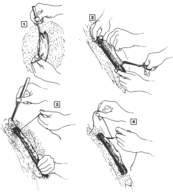 Figure 6.4