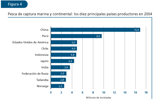 EL ESTADO MUNDIAL DE LA PESCA Y LA ACUICULTURA 2006
