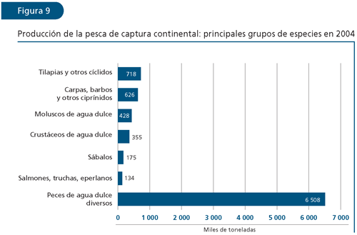 EL ESTADO MUNDIAL DE LA PESCA Y LA ACUICULTURA 2006
