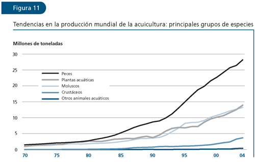 EL ESTADO MUNDIAL DE LA PESCA Y LA ACUICULTURA 2006
