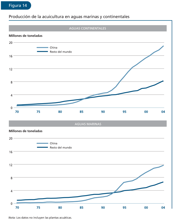 EL ESTADO MUNDIAL DE LA PESCA Y LA ACUICULTURA 2006

