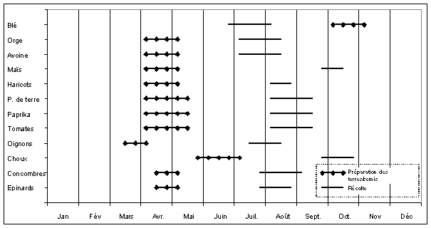 Undisplayed Graphic