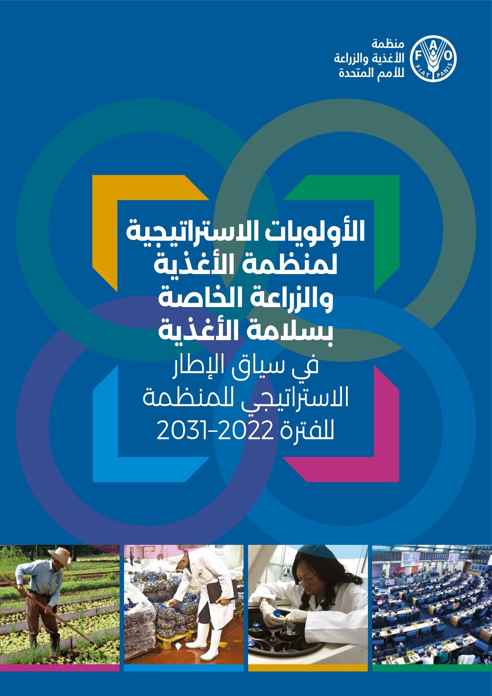 stratetic priorities image