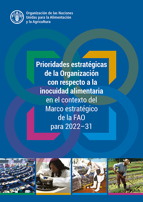 stratetic priorities image