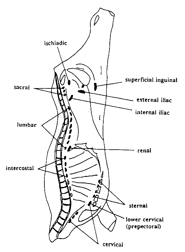 fig 15