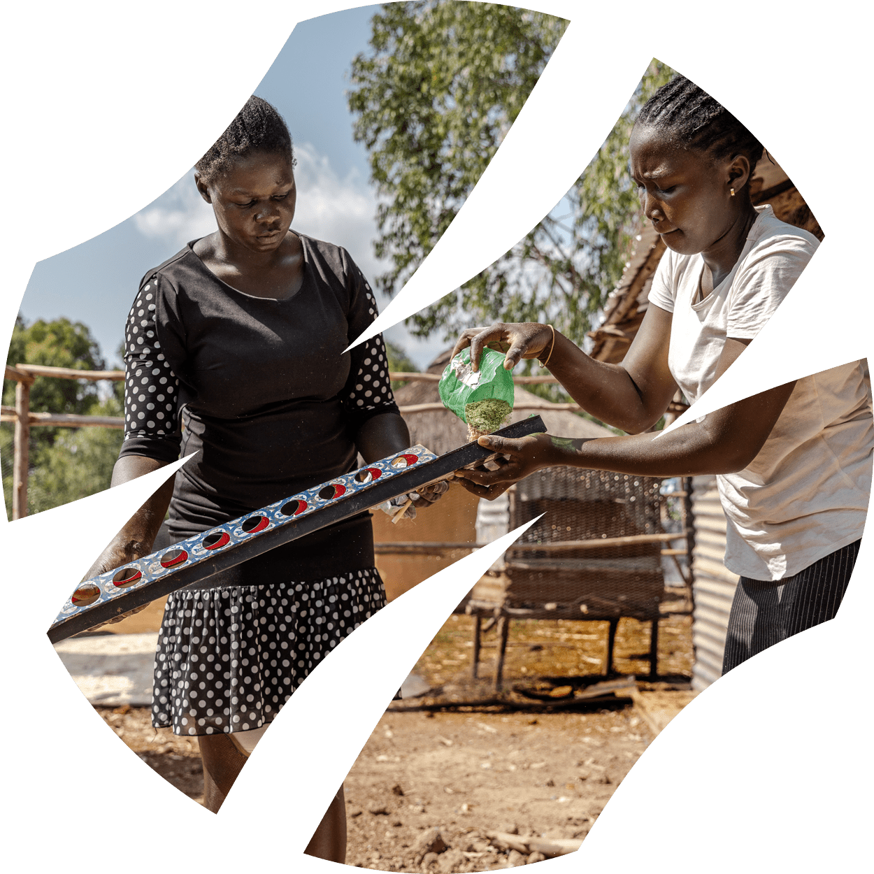 Photo for the report Youth in Agrifood systems