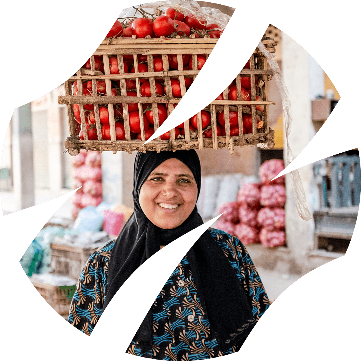 Photo for the report Youth in Agrifood systems