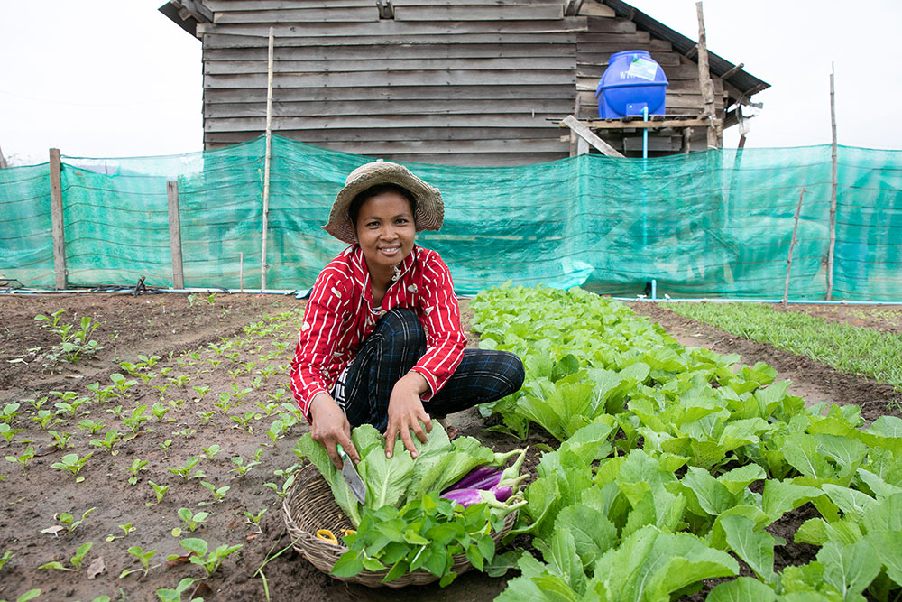 Photo for the report Youth in Agrifood systems