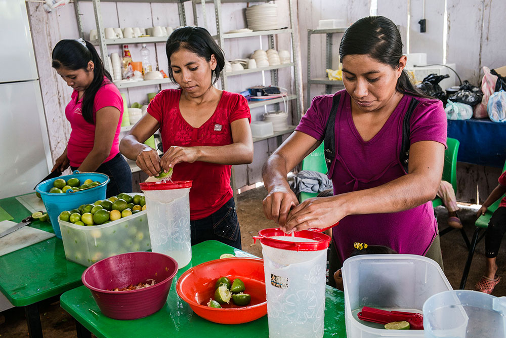 Photo for the report Youth in Agrifood systems