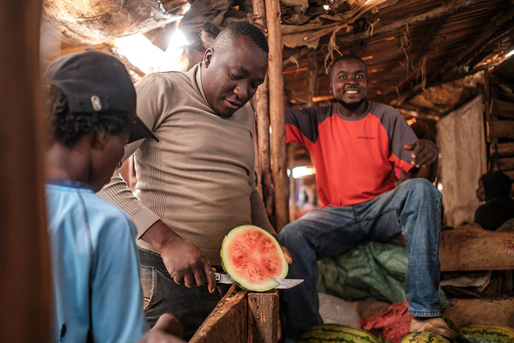 Photo for the report Youth in Agrifood systems