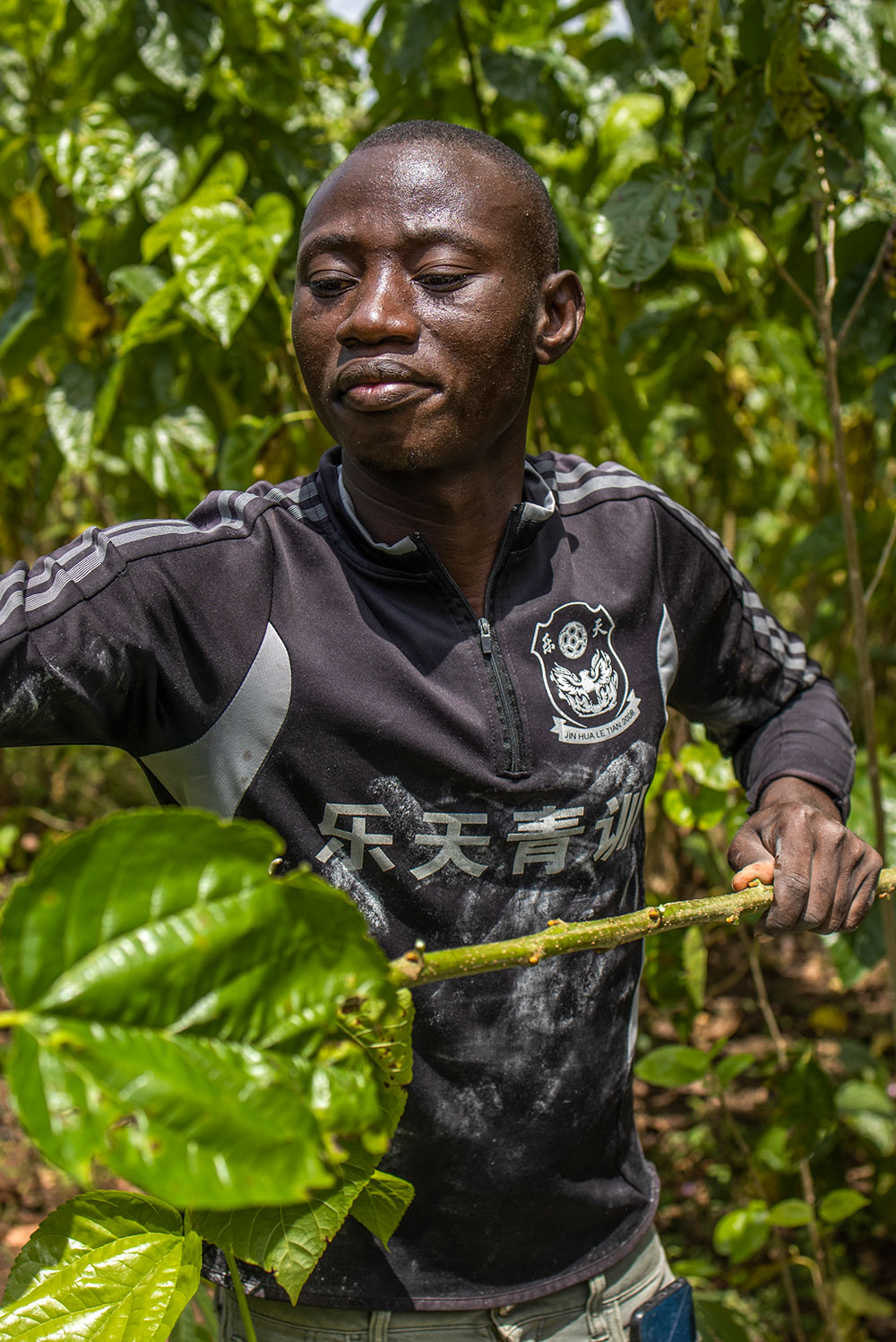 Photo for the report Youth in Agrifood systems