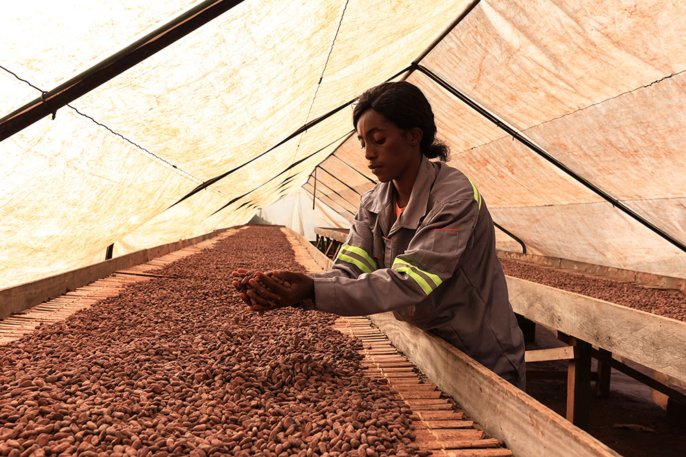 Photo for the report Youth in Agrifood systems