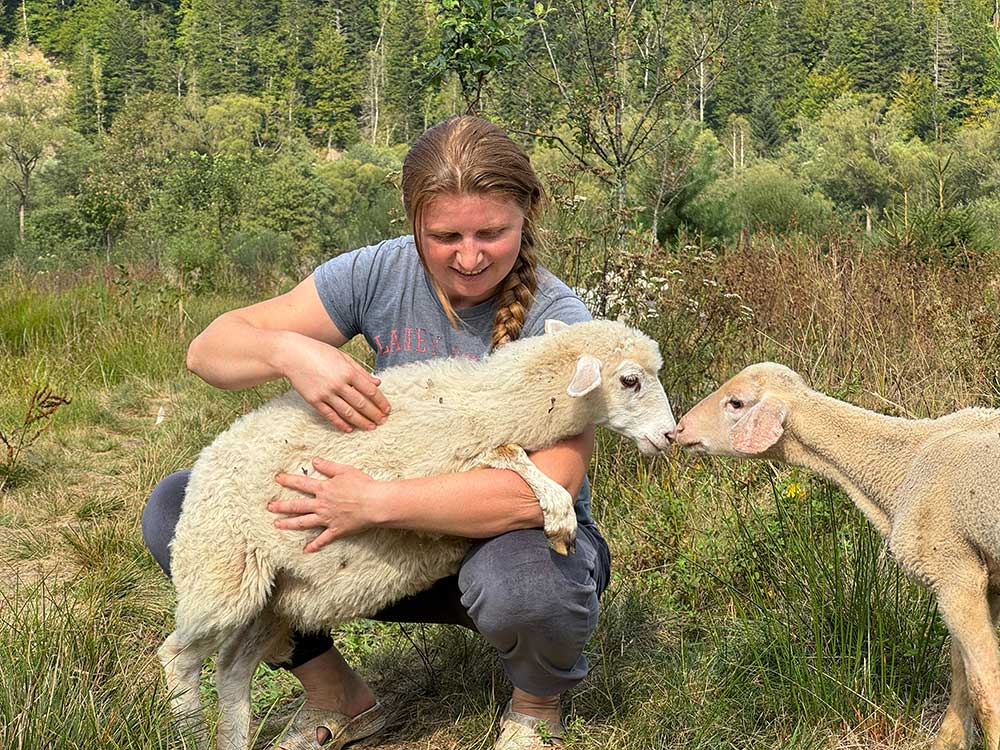 Photo for the report Youth in Agrifood systems