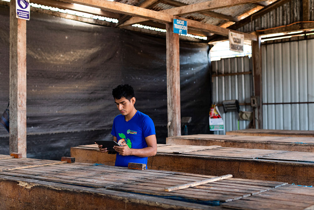 Photo for the report Youth in Agrifood systems