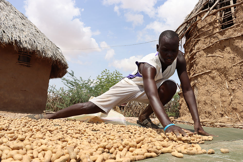 Photo for the report Youth in Agrifood systems