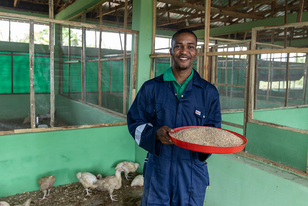 Photo for the report Youth in Agrifood systems