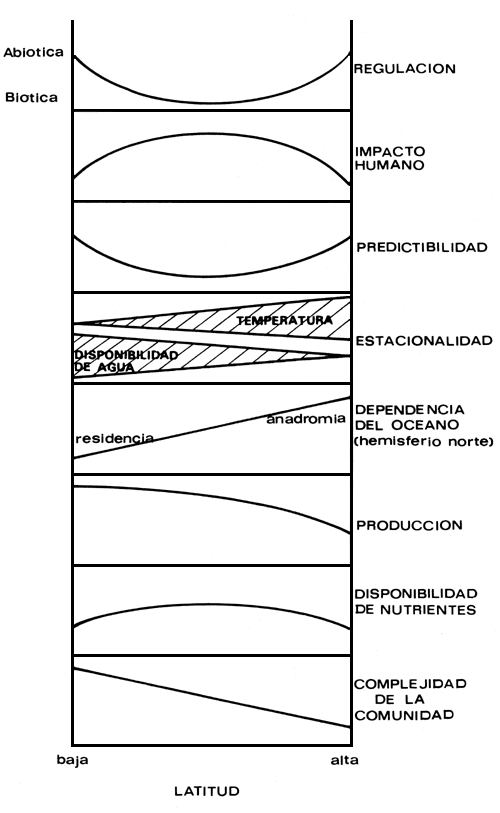 Figura 1