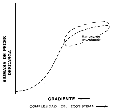 Figura 2