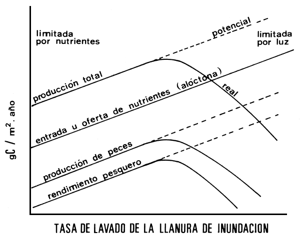 Figura 5