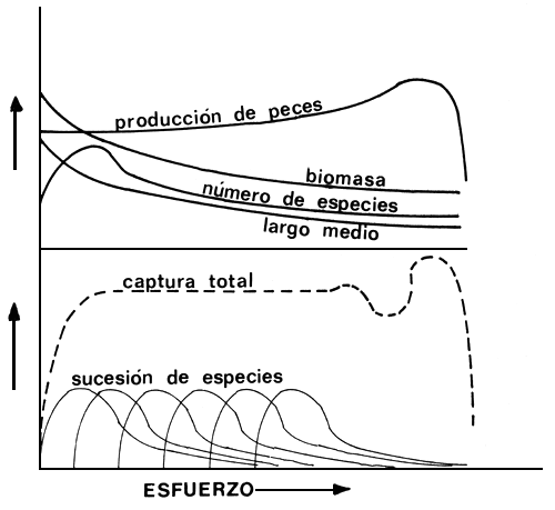 Figura 6