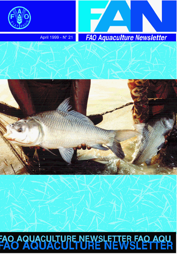 COVER1.gif (175772 byte)