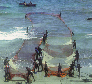 mer.jpg (53997 byte)