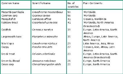 pmfanOE1.JPG (34453 byte)
