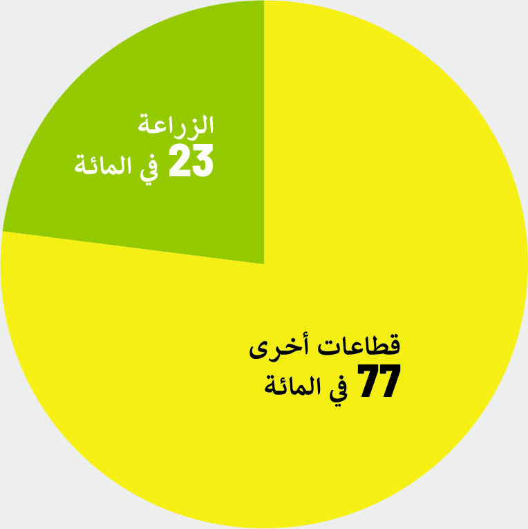 ملاحظة: انظر الملحق الفني 1. المصدر: من إعداد المؤلفين استنادًا إلى البيانات المستمدة من عمليات تقييم الاحتياجات بعد وقوع الكوارث.