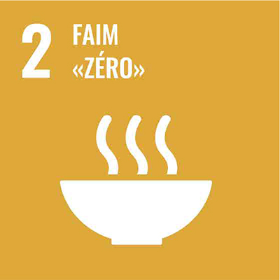sdg2 icon