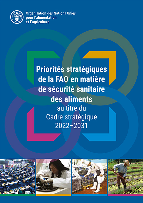 stratetic priorities image