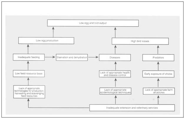 FIGURE 14