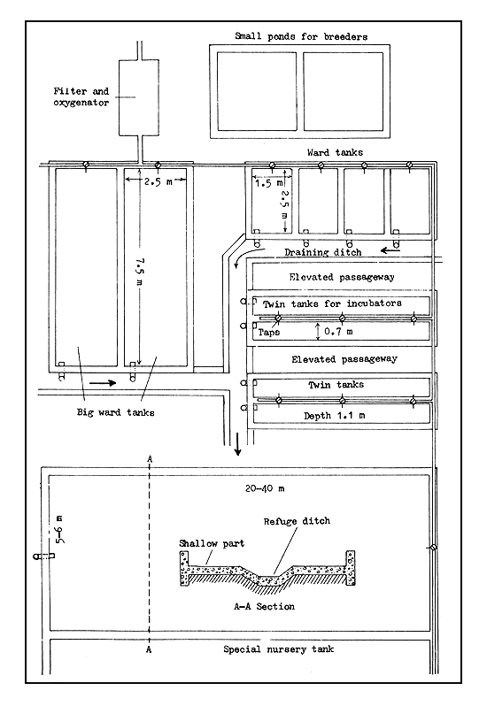 Figure 59