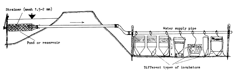 Figure 61