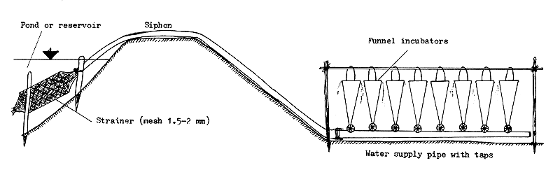 Figure 61