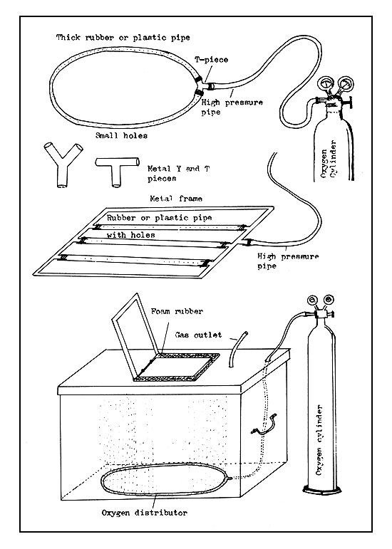 Figure 67