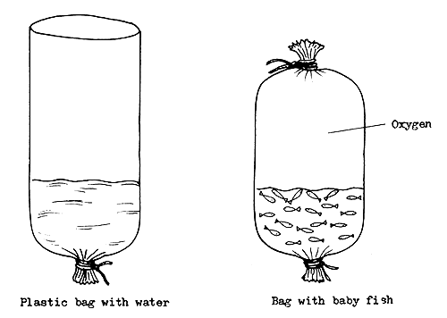 Figure 68