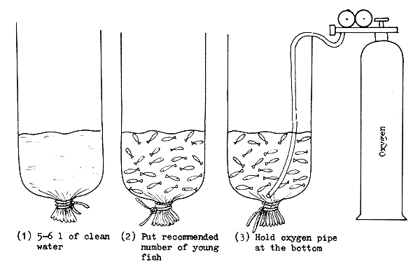 Figure 69