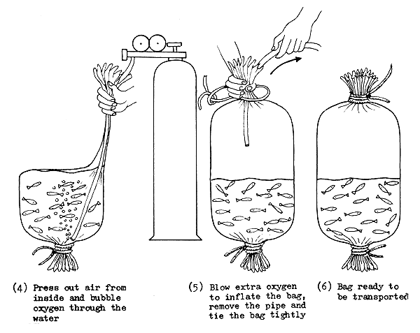 Figure 69