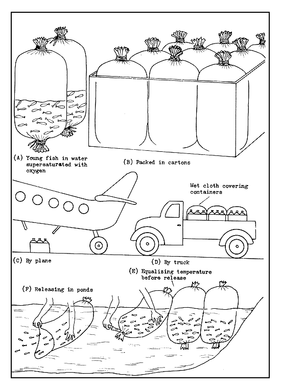 Figure 70