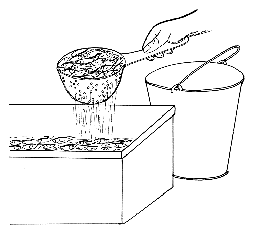 Figure 71a