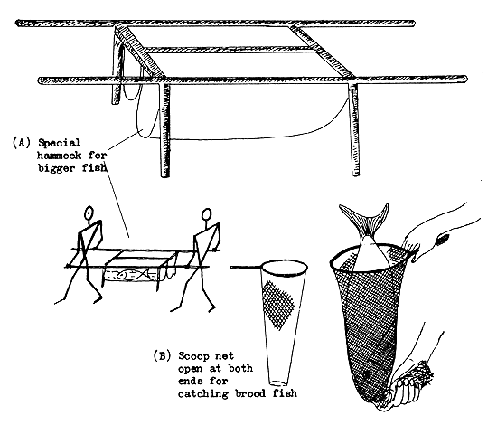 Figure 72b
