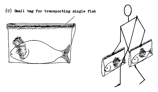 Figure 72b