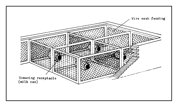 Figure 17