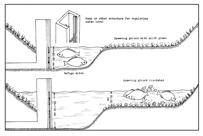 Figure 18