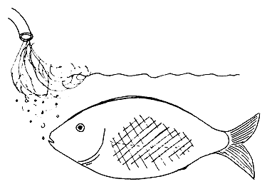 Figure 21
